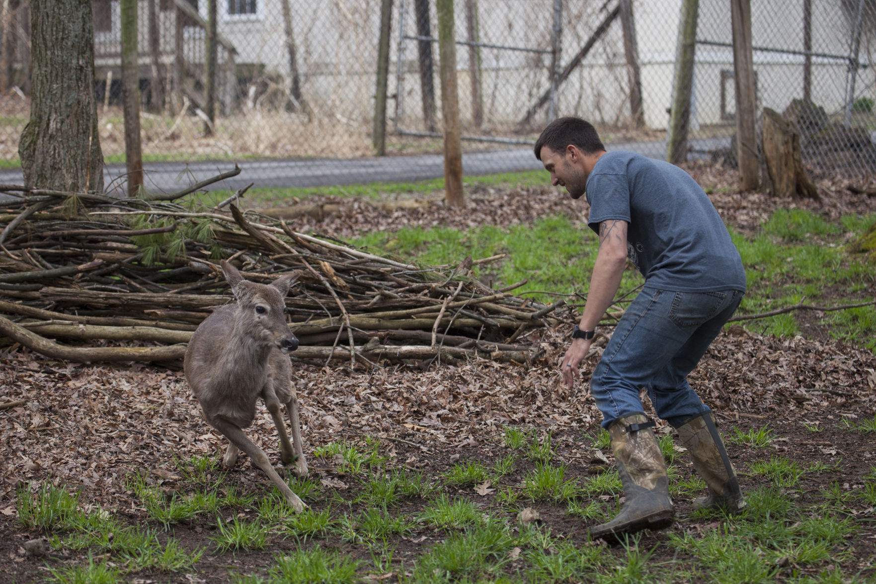 Deer Research Center